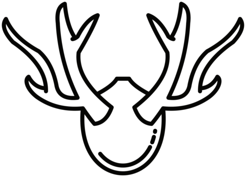 Deer Antlers From Mule Deer Coloring Page